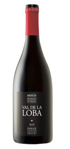 bodegas-pittacum-val-de-loba